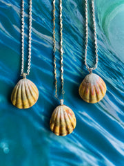 SUNRISE Shell Necklaces| Made in Hawaii|  #33 #34 #38 - Honorooroo Lifestyle