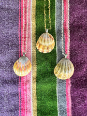 SUNRISE Shell Necklaces| Made in Hawaii|  #33 #34 #38 - Honorooroo Lifestyle